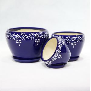 Stunning Plant Display With Our Ceramic Pots Affordable Prices