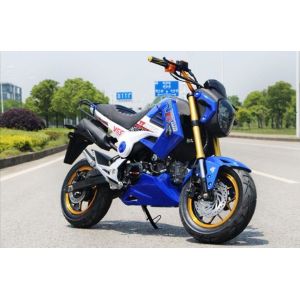 Manual Drive Gas Powered Dirt Bikes Disc Brake 110cc 125cc With Horn