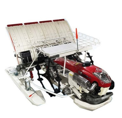 Buy walk type rice transplanter at wholesale prices
