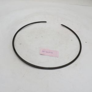 High quality Wheel rim large circlip spring WG880420014