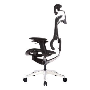 Double Back Ergo Mesh Back Office Chair Ergonomic Executive Swivel