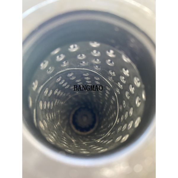 Filtration Hydraulic Oil Filter RG045 /070 Filter Element 1020003762 OEM