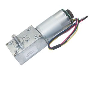 Encoder 30W DC Worm Geared Motor High Torque 12V Motors Self Locking