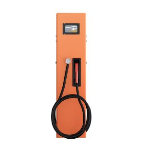 Bernet Fashion Design Side Refueling Double Nozzle 220V Fuel Dispenser