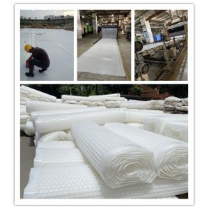 Strong Compression Resistance Drainage Cell Plastic Drainage Systems 2.0mm Cup