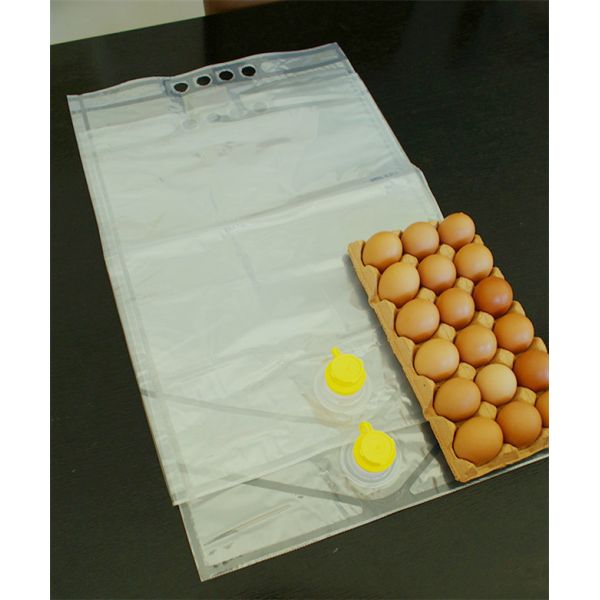 Buy BIB liquid egg packing at wholesale prices