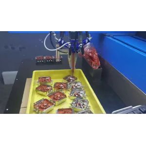 Self-Cleaning CCD Visual Two Component Glue Dispensing Potting Metering Machine