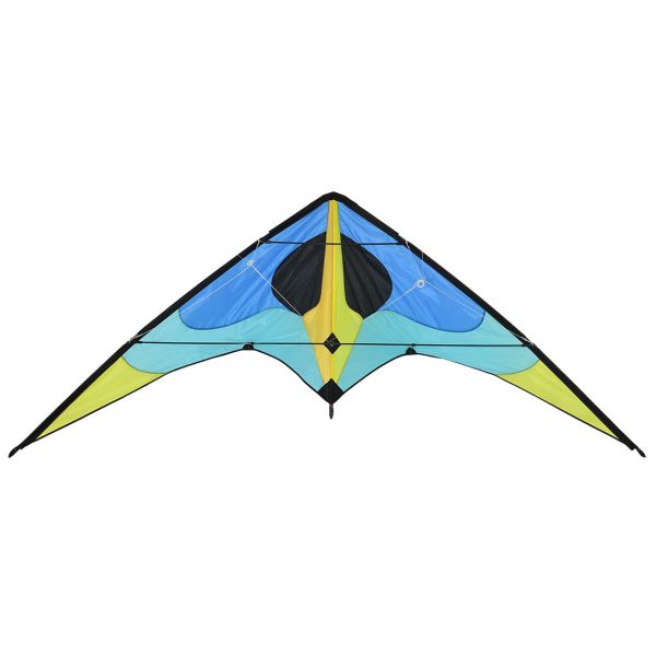 160*80cm Dual Line Delta Sport Kite For Autumn Season