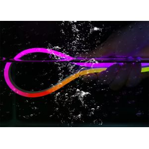 Neon LED Rope Light Kit