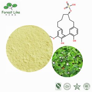 Hot Selling 98% Natural Kaempferol Powder Free Sample