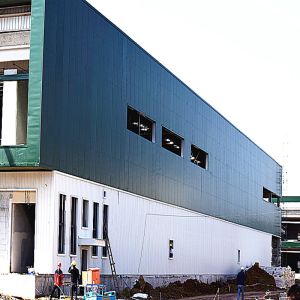 Prefab Modern Steel Building Storage Logistic Warehouse Building Construction