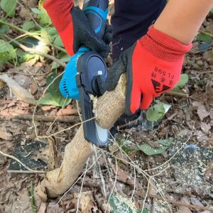 Mini Cordless Handheld Pruning Electric Chainsaw Portable Logging 21V Lithium