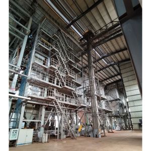 60%-80% Moisture Twin Screw Sewage Sludge Incineration with Advanced Automated System