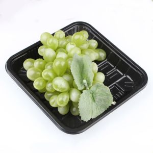 HLD-470 PP plastic fast food tray container machinery