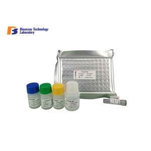 96 Wells 48 Wells Human CRH ELISA Kit Strong Sensitivity