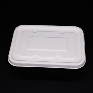 Biodegradable Sugarcane Bagasse Disposable Takeaway Food Tray with Lid