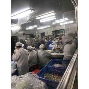 GOTDYA 300ml Gel Rinse-free Hand sanitizer 35000pcs Clearance Sale