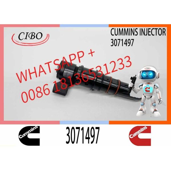 Common Rail Fuel Injector Excavator NTA855 Fuel Injector Assy 3071497 Diesel