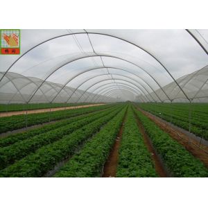 10mm * 10mm PE 50g / Sqm Agricultural Netting