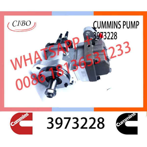 Cumminss Engine Parts QSL Diesel Fuel Injection Pump 3973228 4954200 2872191 4902731 2872930 4921431