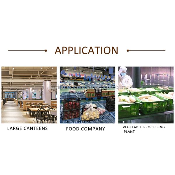 Jiuying 250L Single tank fruit and vegetable cleaning machine with full 304 stainless steel body