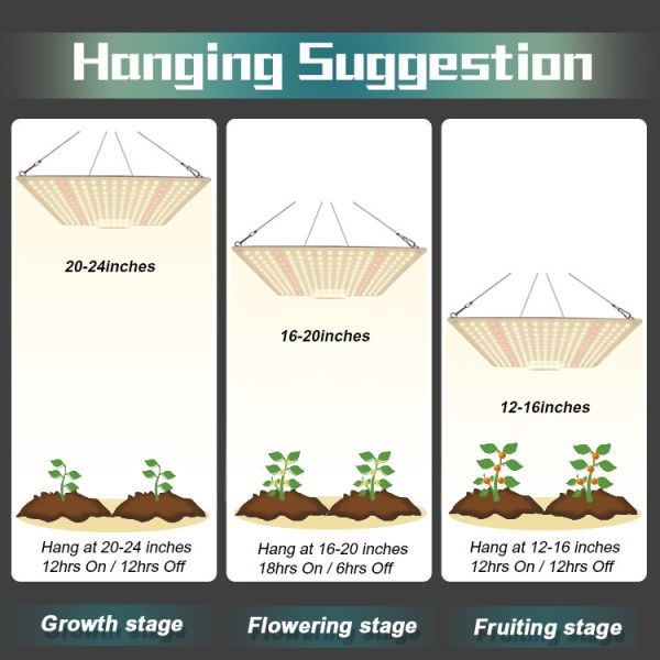 Full Spectrum 150W Horticulture SMD Chip LED Grow Lights For Indoor Plants