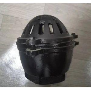 foot valve with material cast iron GG20 BS21 PN16