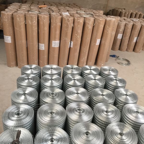 electro galvanized hot dipped galvanized 1/2" welded wire mesh 1" welded wire