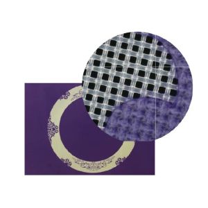 Efficient Automatic Screen Exposing Machine CTS300 Model And Packaging Included