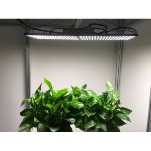 WiFi Controlled 10000lm AC100V LED Herb Grow Light