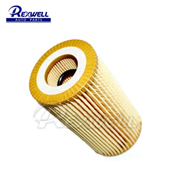 Good Quality Auto Parts Oil Filter for Mercedes-Benz LR022896