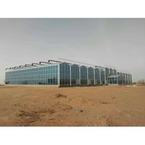 Agricultural / Industrial Garden Greenhouse For Vegetables / Mushrooms / Flowers