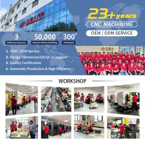 Custom Stainless Steel Stamping Parts with Laser Cutting Service