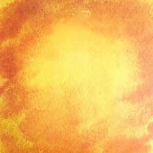 Partysu Specialty Paper Packaging for Sunset Golden Autumn Orange Partysu DIY