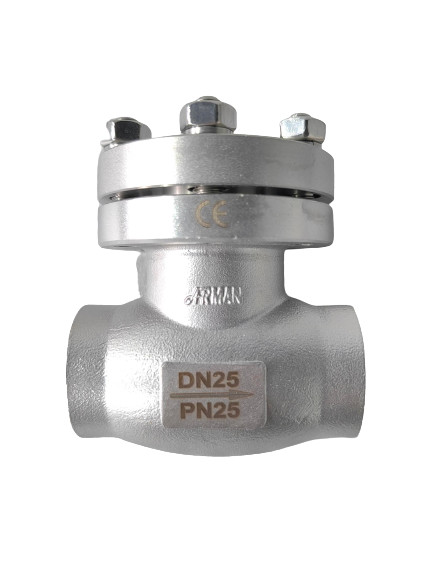 Buy Stainless Steel DN25 PN25 Cryogenic Check Valve Disc Shaped OEM For LNG at wholesale prices