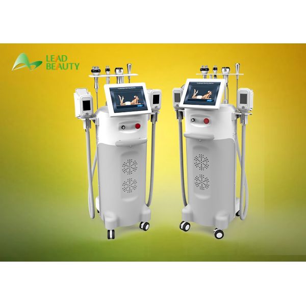 Buy LEADBEAUTY cryolipolysis fat freeze slimming machine with 5 handles at wholesale prices