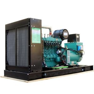 SINOTRUK MAN Power Generator 250kW Synchronization Gas Generator for Continuous