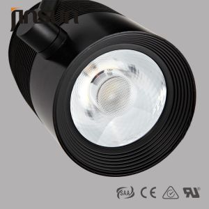 20W 1600LM 20D Beam Angle OF CREE COB LED Track Lamp With Meanwell Driver