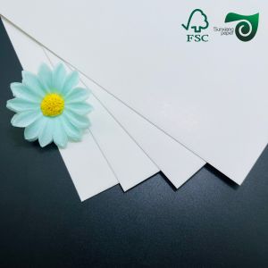 FSC Food Grade FBB Paper Board 215gsm 295gsm For Medicine Boxes 70cm 100cm