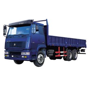 SINOTRUK HOWO Cargo Truck 25 Tons 6X4 LHD