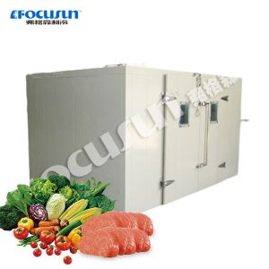 Quality 10-15cm Panel Thickness Walk-In Cooled Storage Blast Freezer Unit Discount for sale