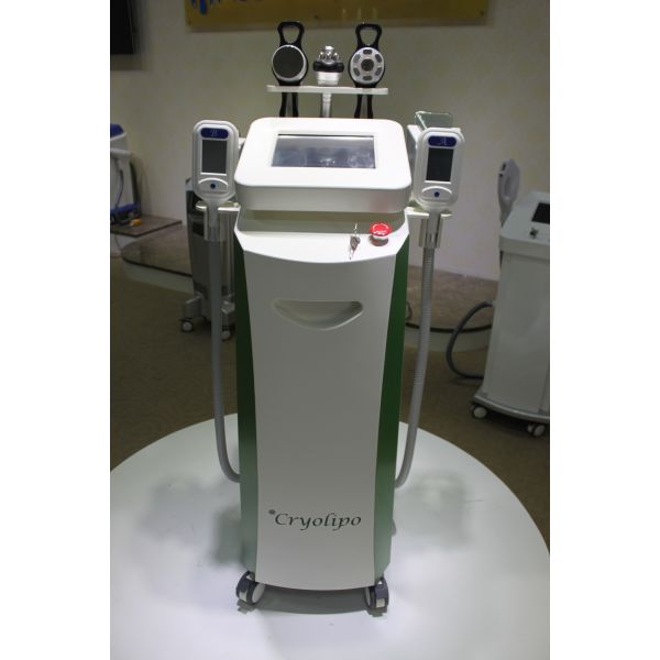 Buy cryolipolysis body sculpture cryolipolysis machine NBW-C325 at wholesale prices