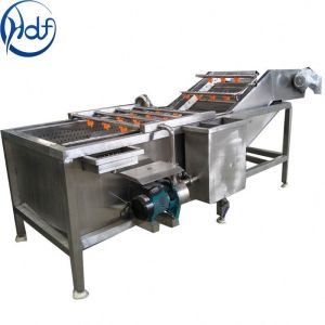 root vegetable washing machine salad vegetable cleaning machine