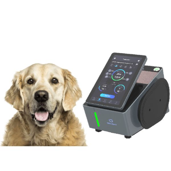 Buy 650nm Veterinary Laser Therapy Equipment at wholesale prices