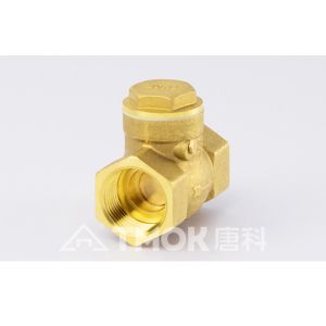 Quality DN20 Tilting Disc Check Valve for sale