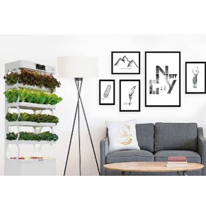 China LED Plant Lighting Smart Hydroponics System , Garden Bamboo Indoor Growing Systems on sale