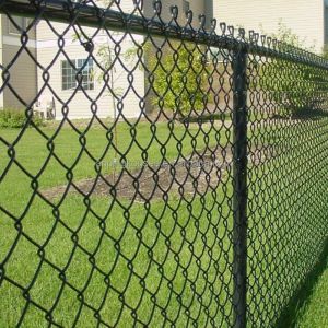 Customized Cyclone Wire Fence Diamond Wire Mesh Netting Panel Galvanized
