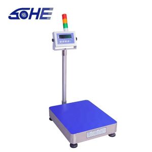 Precision Upper and Lower Limit Alarm Digital Electronics Scale for Fresh Food