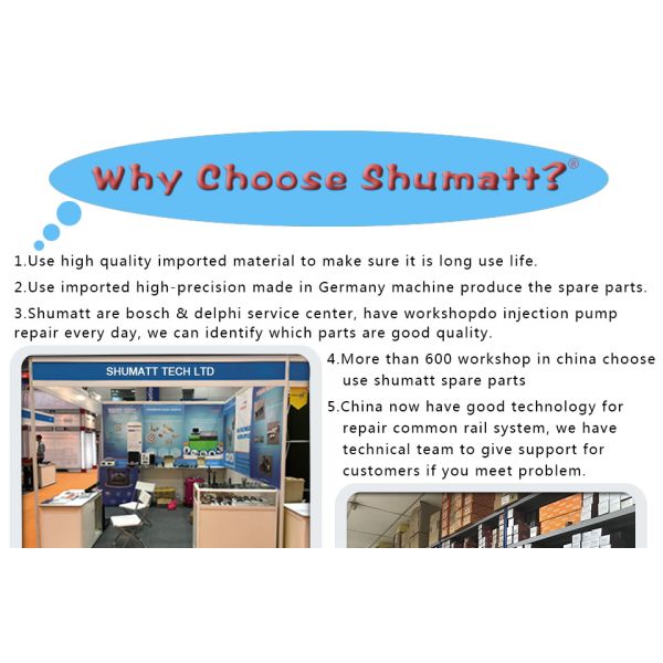 High quality Orifice Plate #23 #06 for Common Rail Injector 095000-8480 095000-6510