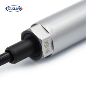 Quality MWM TCG 3016 S-R6A19 Generator Spark Plug 12453566 With 22.2mm Hex &amp; Resistor for sale